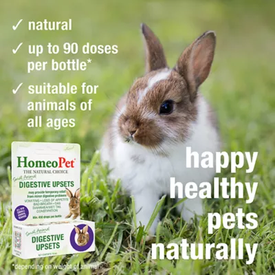 Product HomeoPet Small Pet Digestive Upsets Relief