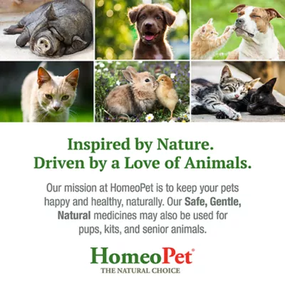 Product HomeoPet Small Pet Digestive Upsets Relief