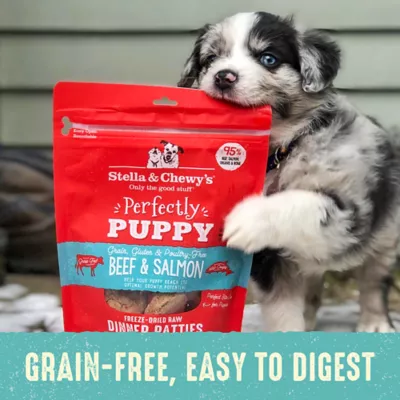 Product Stella & Chewy's Freeze-Dried Raw Dinner Patties Puppy Dry Dog Food - Beef & Salmon