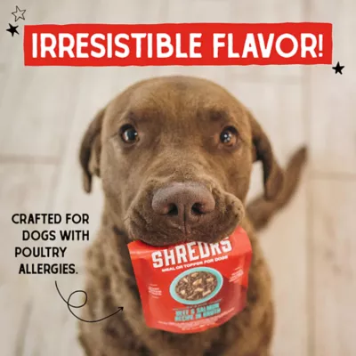 Product Stella & Chewy's Stella's Shredrs Adult Dog Wet Food or Topper - Beef & Salmon