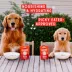 Stella & Chewy's Stella's Shredrs Adult Dog Wet Food or Topper - Beef & Salmon image thumbnail 7