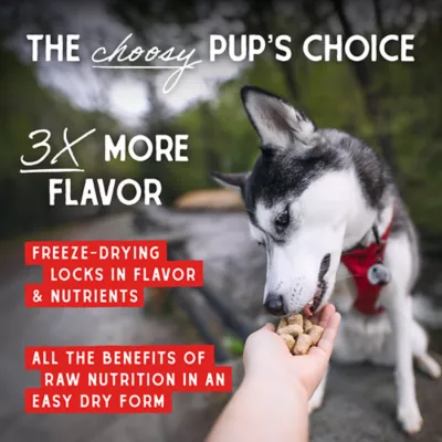 Product Stella & Chewy's Freeze-Dried Raw Meal Mixers All Life Stages Dog Food Topper - Chewy's Chicken