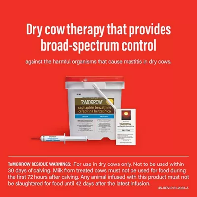 Product ToMORROW Mastitis Treatment for Dry Cows