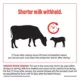 Product ToMORROW Mastitis Treatment for Dry Cows