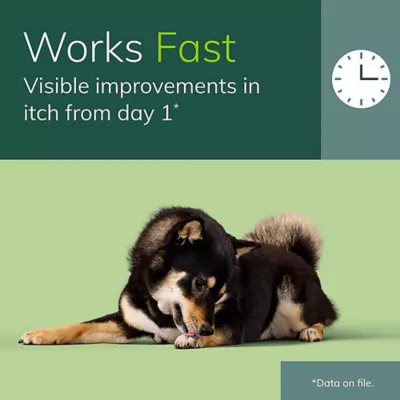 Product Zenrelia (ilunocitinib) Tablets for Dogs - 4.8 mg