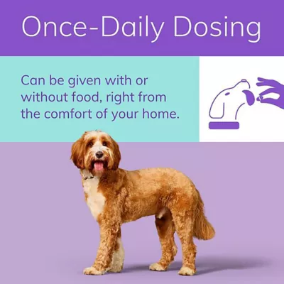 Product Zenrelia (ilunocitinib) Tablets for Dogs - 4.8 mg