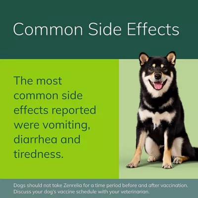 Product Zenrelia (ilunocitinib) Tablets for Dogs - 4.8 mg