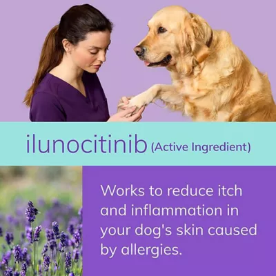Product Zenrelia (ilunocitinib) Tablets for Dogs - 4.8 mg