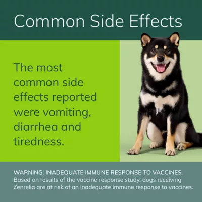 Zenrelia (ilunocitinib tablets) - Once Daily Prescription Itch Relief for Dogs - 4.8 mg 30 & 90 CT - Image 6