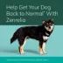Zenrelia (ilunocitinib tablets) - Once Daily Prescription Itch Relief for Dogs - 4.8 mg 30 & 90 CT image thumbnail 8