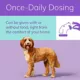 Product Zenrelia (ilunocitinib) Tablets for Dogs - 4.8 mg