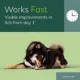 Product Zenrelia (ilunocitinib) Tablets for Dogs - 6.4 mg