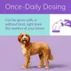 Product Zenrelia (ilunocitinib) Tablets for Dogs - 6.4 mg