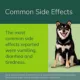 Product Zenrelia (ilunocitinib) Tablets for Dogs - 6.4 mg