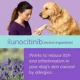 Product Zenrelia (ilunocitinib) Tablets for Dogs - 6.4 mg