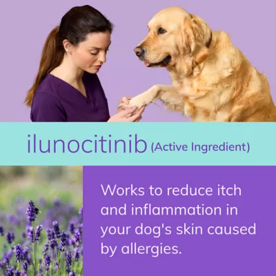 Zenrelia (Ilunocitinib Tablet) | Once Daily Prescription Itch Relief for Dogs | 6.4 mg 30 & 90 CT - Image 7