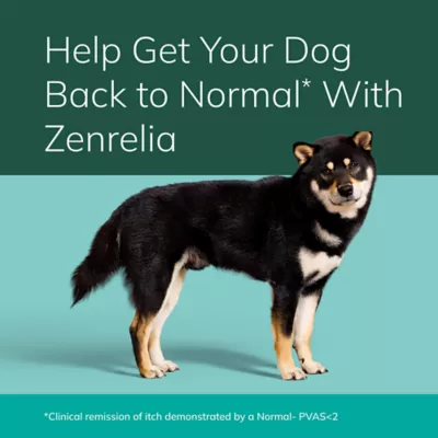 Zenrelia (Ilunocitinib Tablet) | Once Daily Prescription Itch Relief for Dogs | 6.4 mg 30 & 90 CT - Image 8