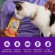 Product Wellness® Appetizing Entrees Adult Cat Wet Food - Grain Free, Mousse, 2.8 Oz