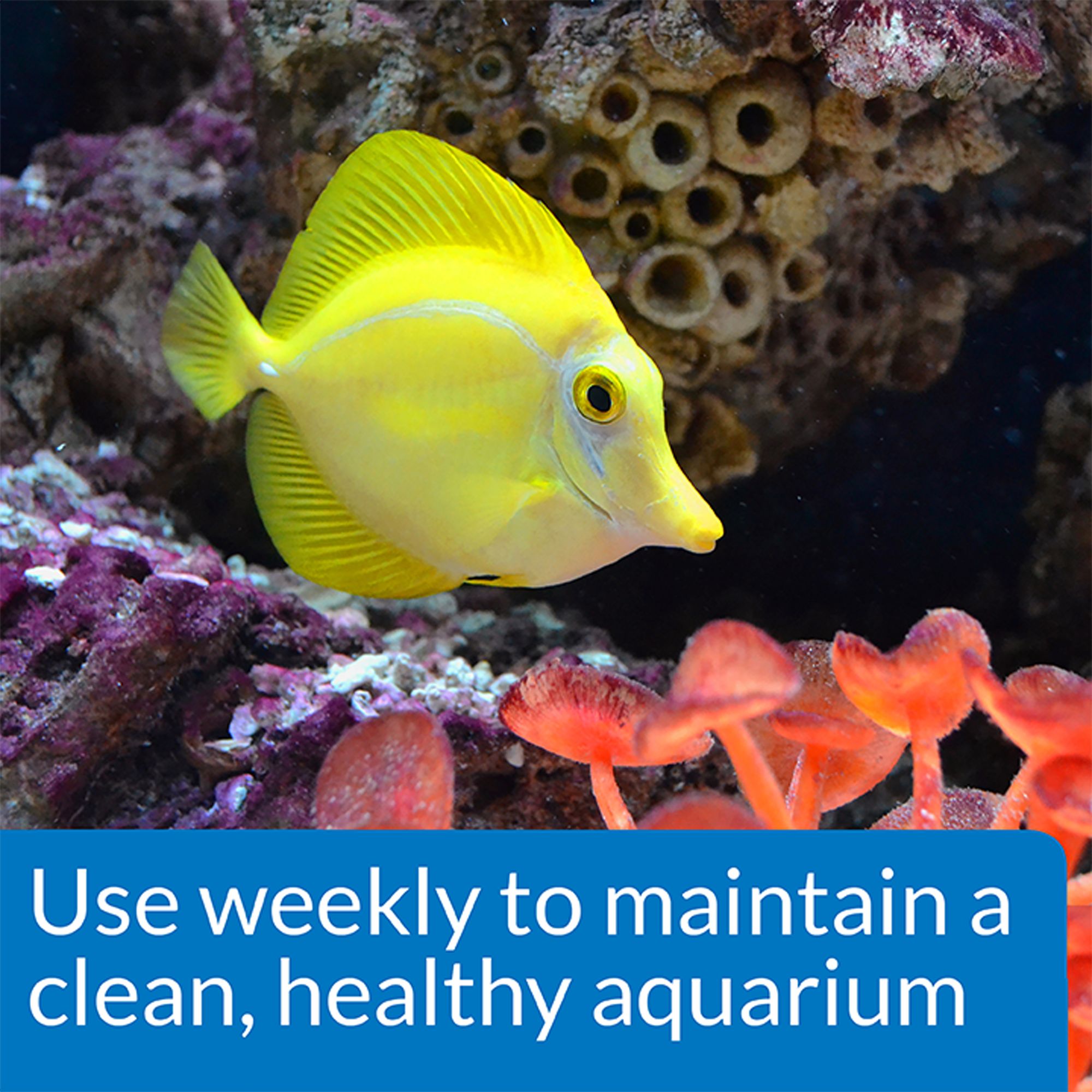 API® Stress Zyme Aquarium Water Conditioner for Aquarium Cycling - thumbnail 3