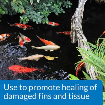 Product API® Melafix Fish Bacterial Infection Treatment