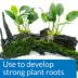 API® Root Tabs Aquarium Plant Fertilizer- 10 count image thumbnail 3