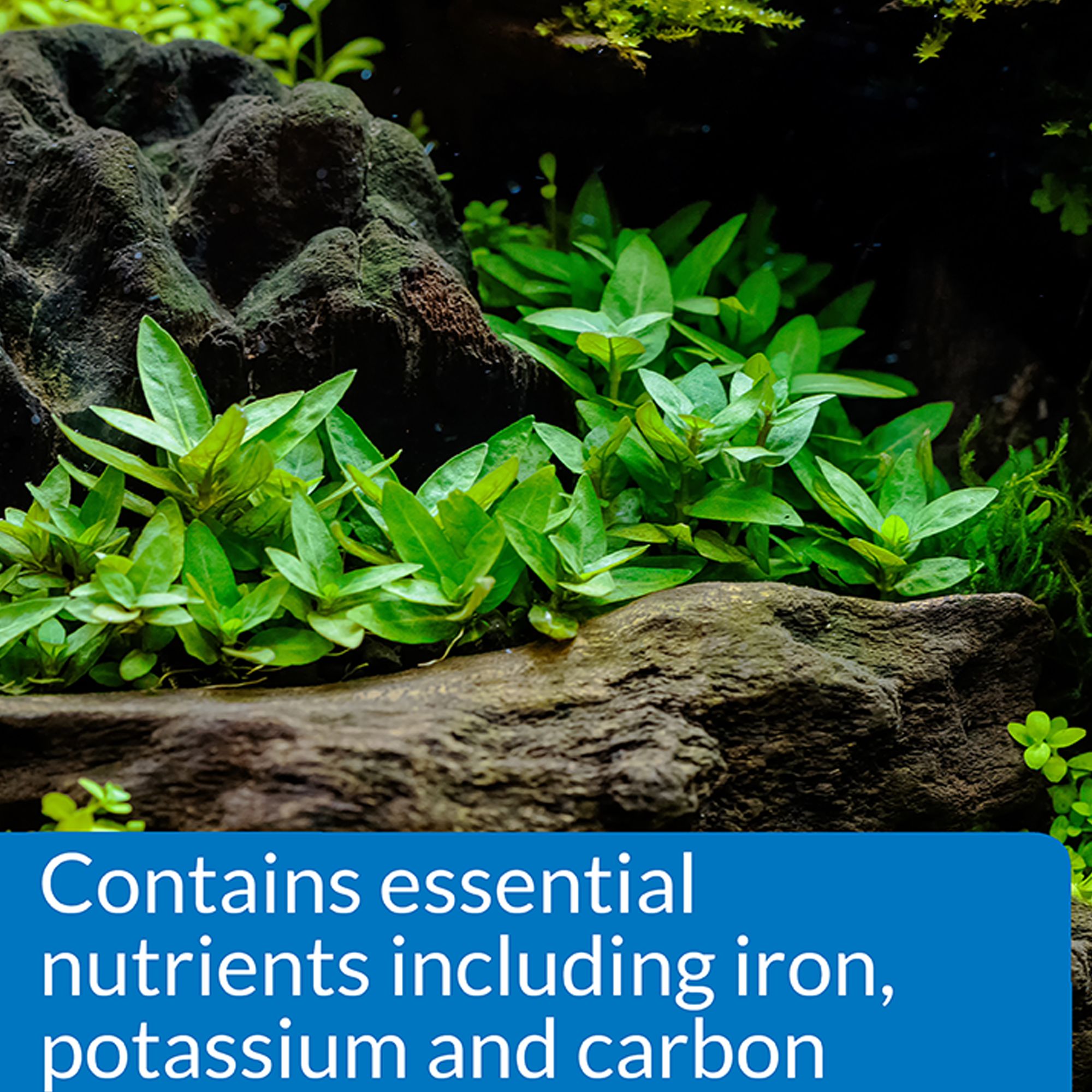 API® Root Tabs Aquarium Plant Fertilizer- 10 count for Live Aquarium Plants - thumbnail 4