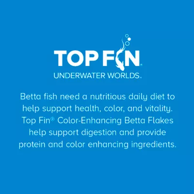 Top Fin® Color-Enhancing Betta Flakes Fish Food - Betta Fish Food, Freshwater Fish Food - 0.81 oz - Image 5