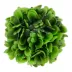 Top Fin® Artificial Betta Hedge Ball Aquarium Plant image thumbnail 1