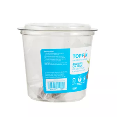 Product Top Fin® Anubias Live Aquatic Plant with Rock Base