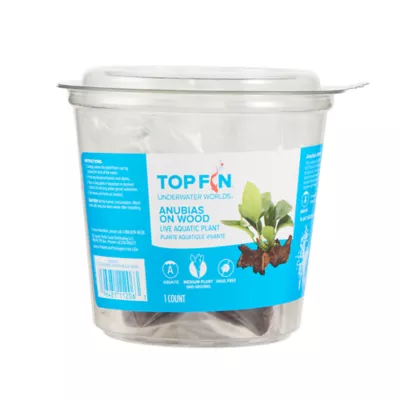 Product Top Fin® Anubias Aquatic Plant with Wood Base
