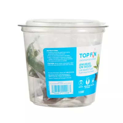 Product Top Fin® Anubias Aquatic Plant with Wood Base