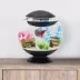 Top Fin® Classic Sphere Aquarium image thumbnail 5