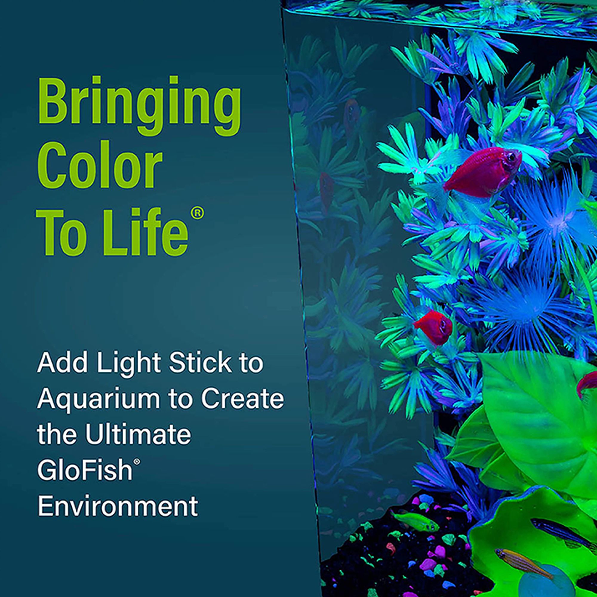 GloFish® 10-Inch LED Light Stick 2 Pack for Fish Tanks - thumbnail 10