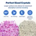 ScoopFree® Lavender Crystal Litter 2 Pack image thumbnail 3