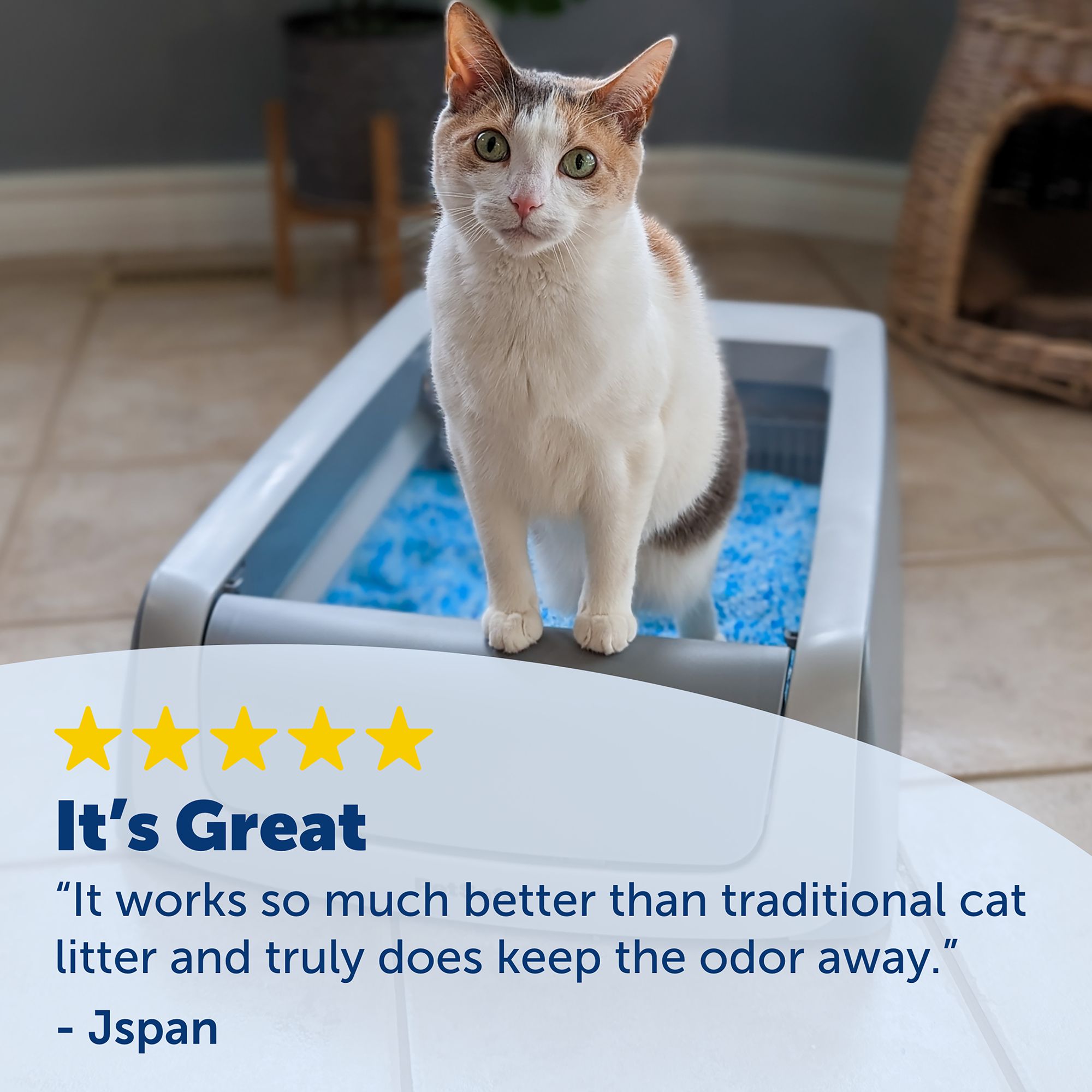 PetSafe® ScoopFree® Sensitive Crystal Cat Litter Refills & Reusable Tray Compatible - thumbnail 5