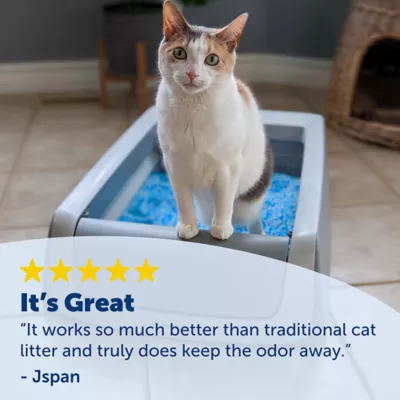 Product PetSafe® ScoopFree® Sensitive Crystal Litter 2 Pack