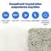 PetSafe® ScoopFree® Crystal Litter Refill Tray - Fragrance Free 3-Pack - Low Tracking image thumbnail 4