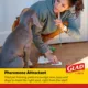 Product Glad for Pets Heavy Duty Activated Carbon Training Pads - 24" x 24" 30ct