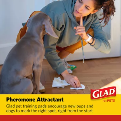 Product Glad for Pets Heavy Duty Activated Carbon Training Pads - 24" x 24" 100ct