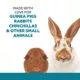 Product Full Cheeks™ All-Natural Bamboo Sticks