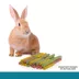 Full Cheeks™ Flavored Hay Sticks Treats & Chews image thumbnail 5