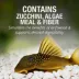  Tetra PlecoWafers Nutritionally Balanced Fish Food for Algae Eaters image thumbnail 3