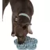 Dexypaws Hide + Seek Flower Enrichment Snuffle Mat, Interactive Dog Feeding Mat image thumbnail 2