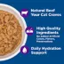 Wellness® Complete Health Adult Cat Wet Food - Natural, Grain Free, Grilled, 3 Oz image thumbnail 3