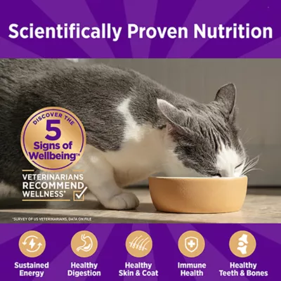 Product Wellness Cat - Grilled, 3 OZ
