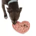 Dexypaws Hide + Seek Heart Enrichment Snuffle Mat, Interactive Dog Feeding Mat image thumbnail 2
