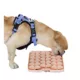 Product Dexypaws Square Enrichment Snuffle Mat