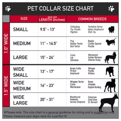 Buckle-Down Peanuts Snoopy Seatbelt Dog Collar - Image 3