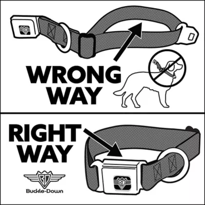 Buckle-Down Peanuts Snoopy Seatbelt Dog Collar - Image 5