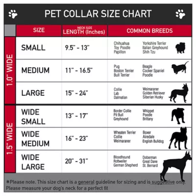 Buckle-Down Peanuts Snoopy Seatbelt Dog Collar - Image 3